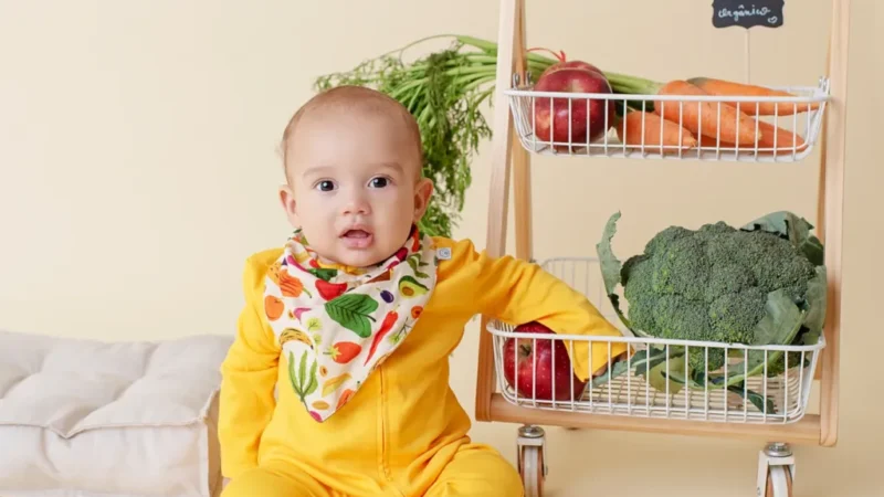 O que é ORGÂNICO e por que faz a diferença para o seu bebê (e para você) em 2026